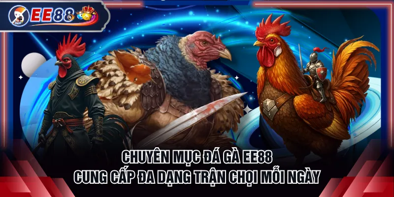 Chuyên mục đá gà EE88 cung cấp đa dạng trận chọi mỗi ngày