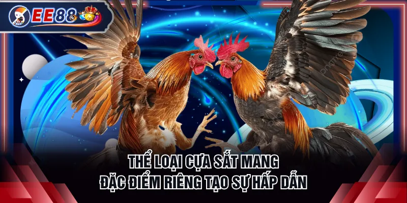 Thể loại cựa sắt mang đặc điểm riêng tạo sự hấp dẫn